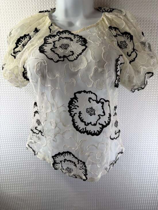 Express Tops - Express Floral Embroidered Puff Sleeve Mesh Blouse